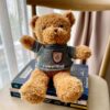 Gấu Bông Teddy Tặng Sinh Nhật Áo Xám