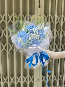 hoa cẩm tú cầu xanh blue