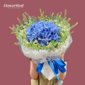 Bó Hoa Hydrangea Elegance